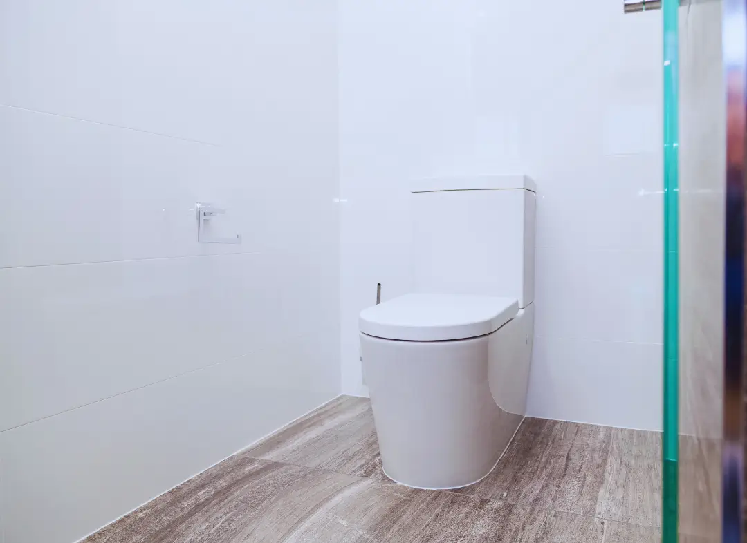 Remplacement de wc Entraigues-sur-la-Sorgue